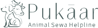 Pukaar Animal Sewa