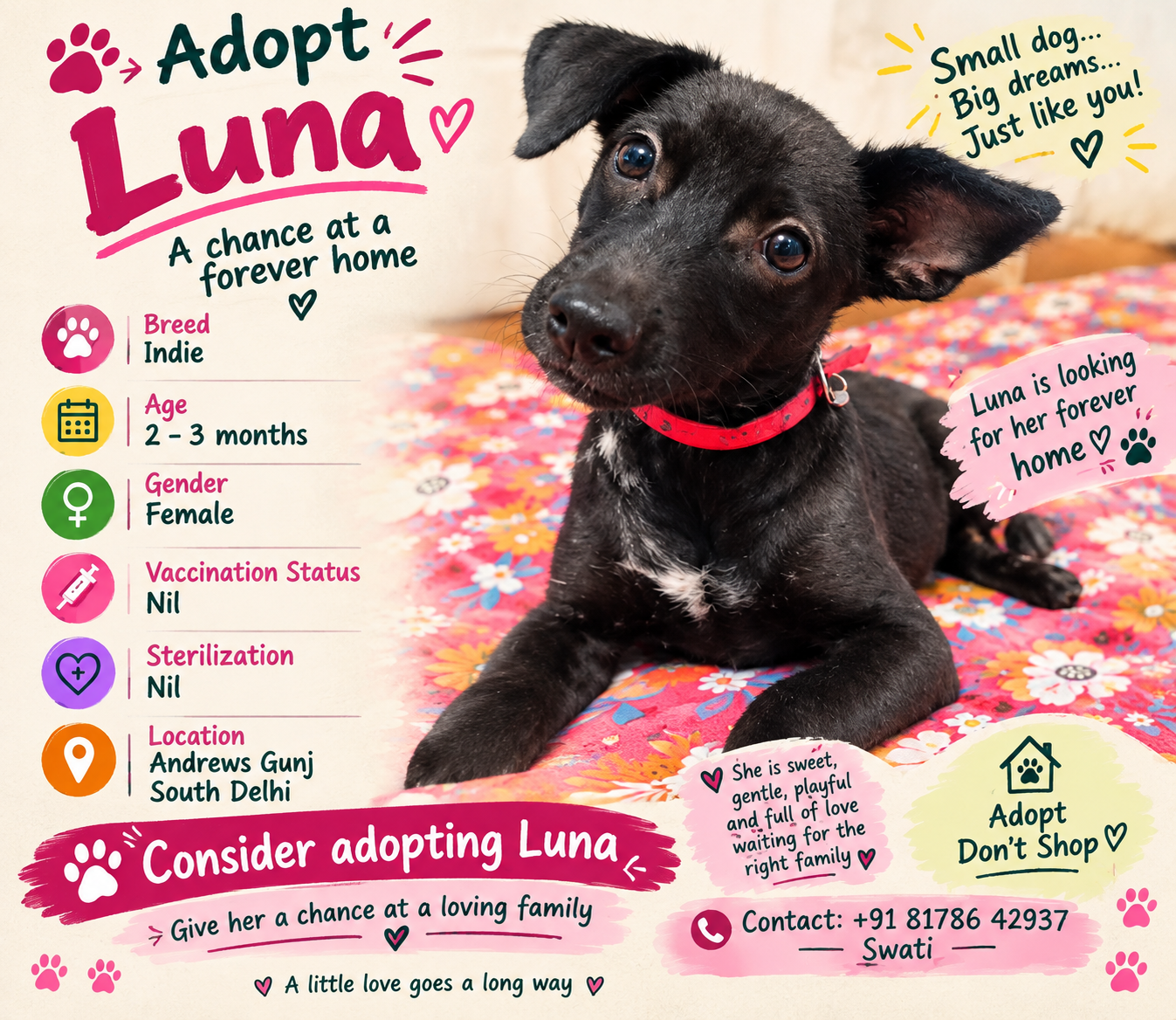 Adopt Luna