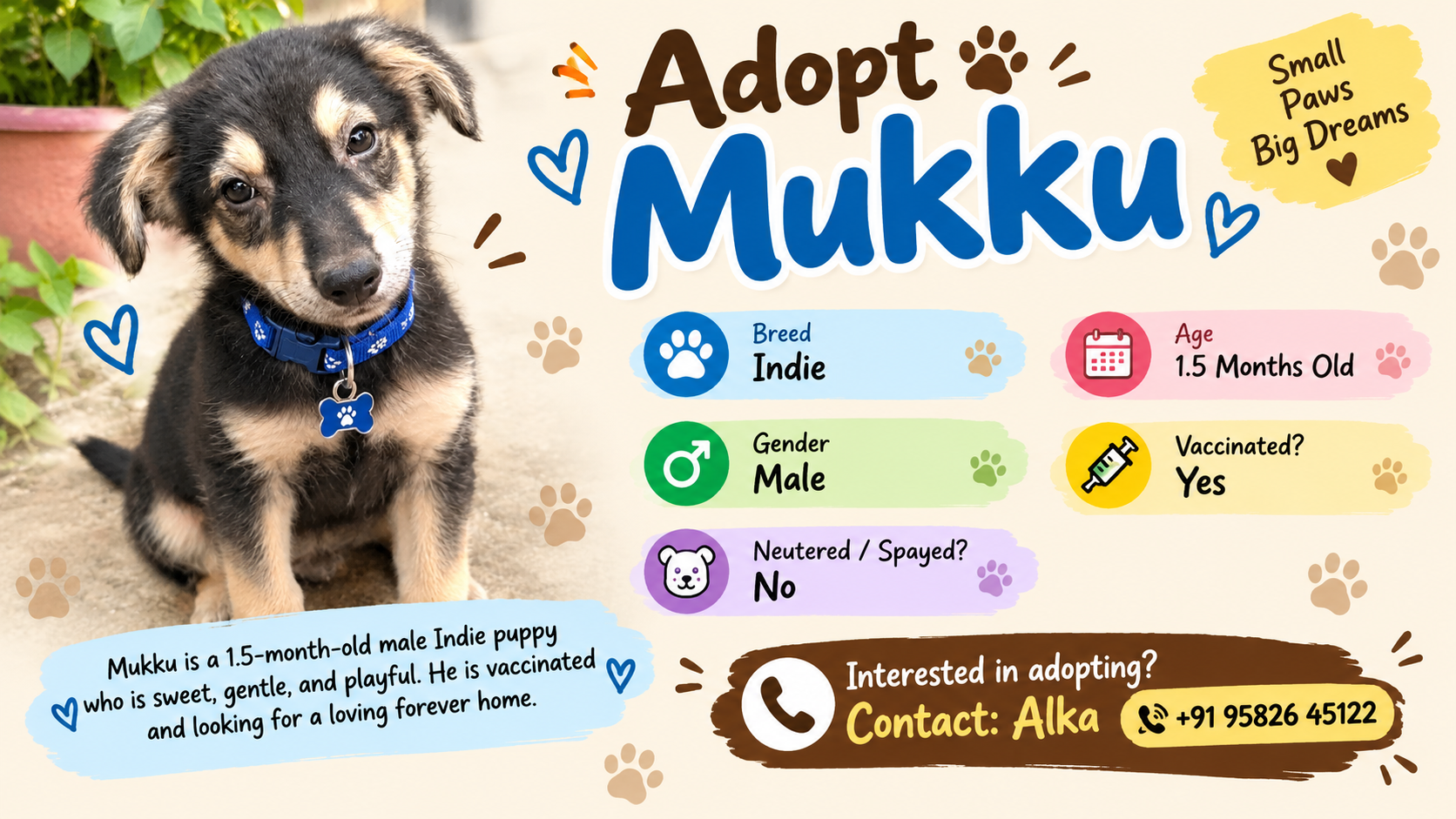 Adopt Mukku