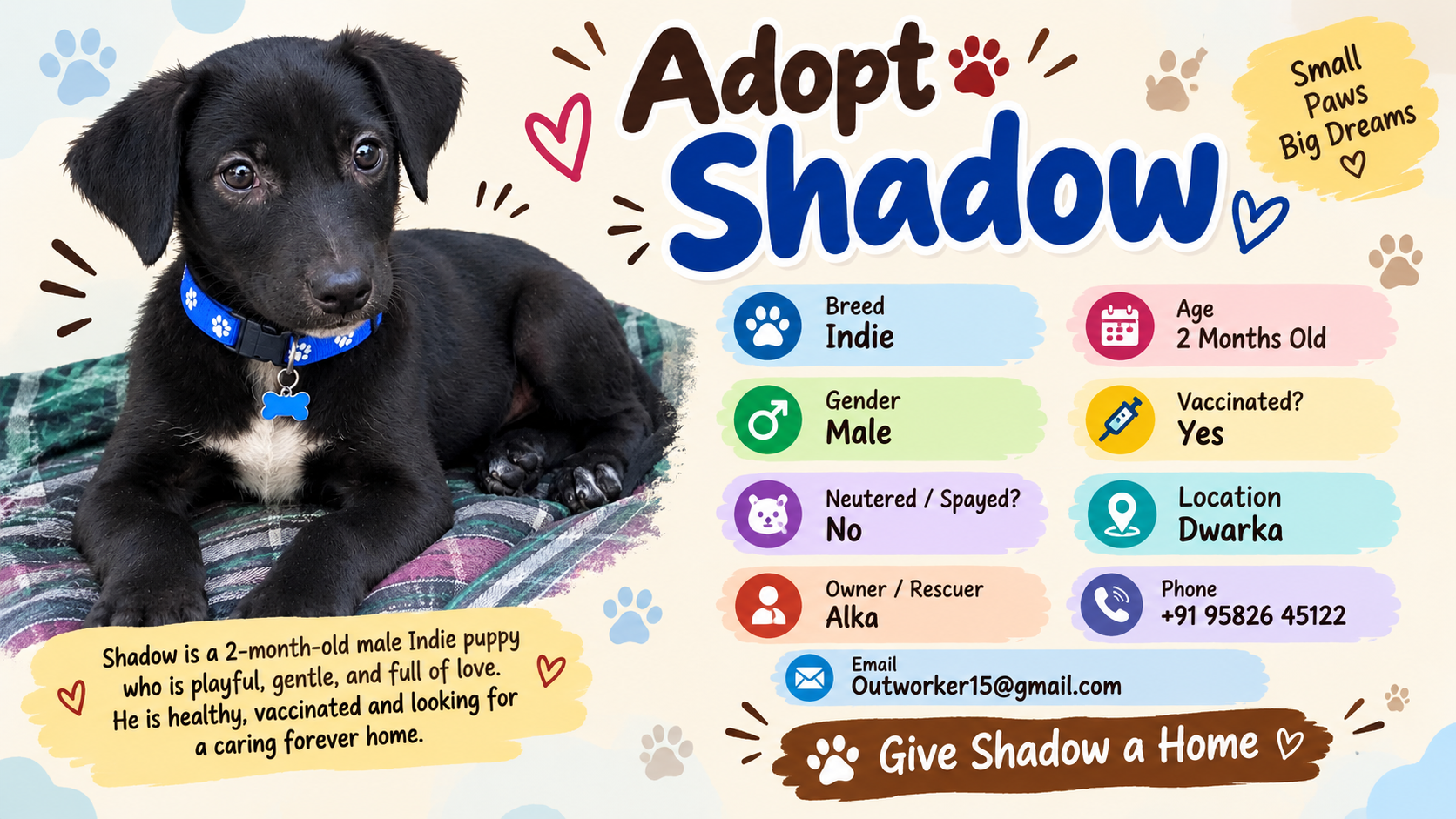 Adopt Shadow