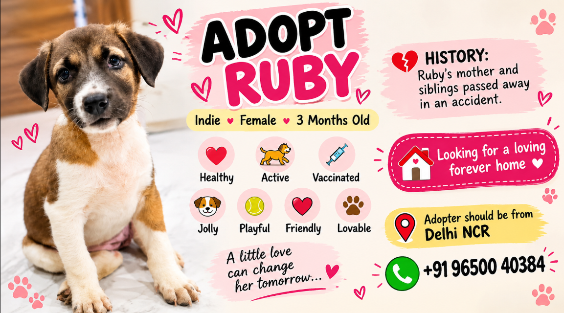 Adopt Ruby